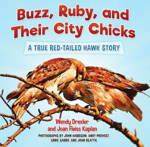 Buzz Ruby and their City Chicks - Drexler